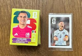 Panini WM 2026 Sticker ca. 124 Stück,