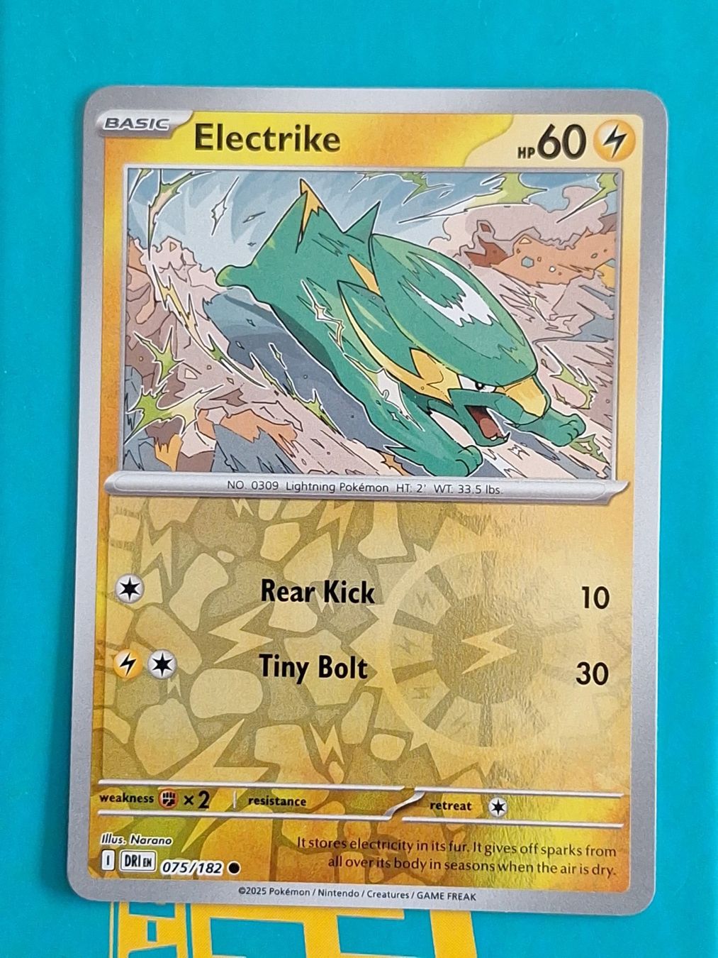 Pokémon Carte collezionabili: Electrike - Reverse Holo Pokemon Destined Rivals #1.9 – Usato da Altstätten SG venduto da GGsGameshop