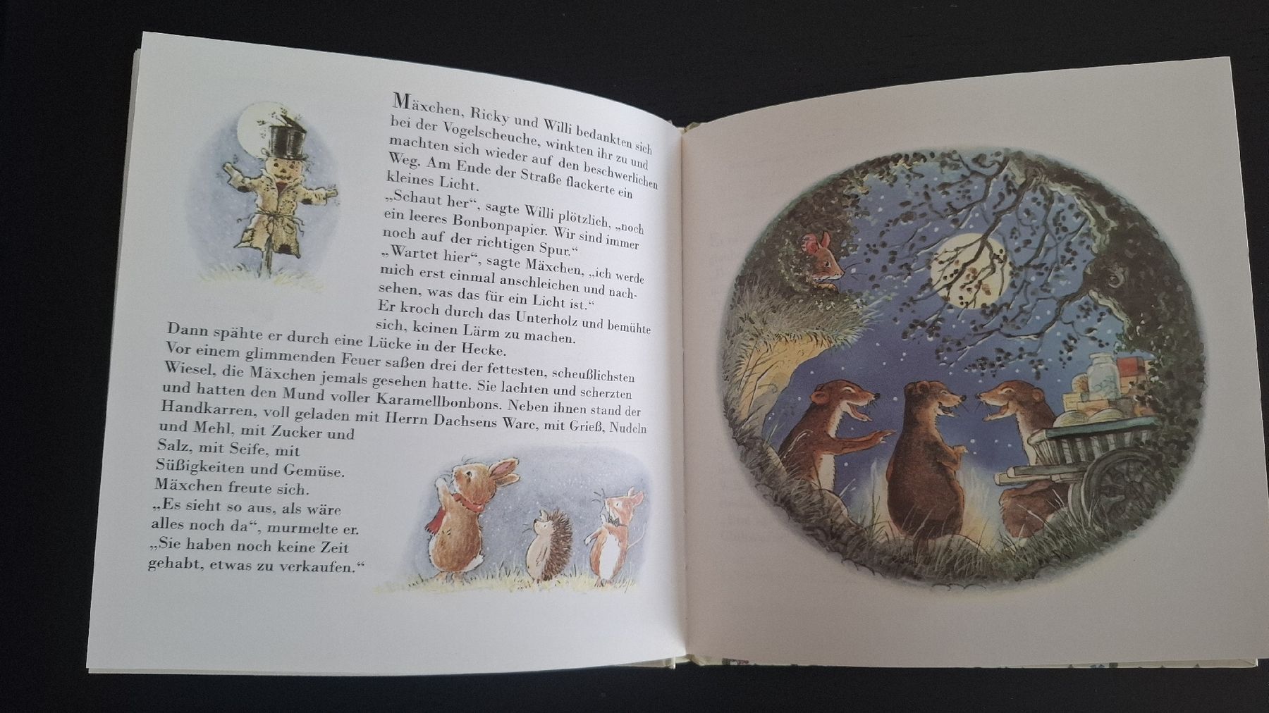 Libri: Kinderbuch • Räuber im Fuchswald – Usato da Ottenbach venduto da Rasenmaeeher 1