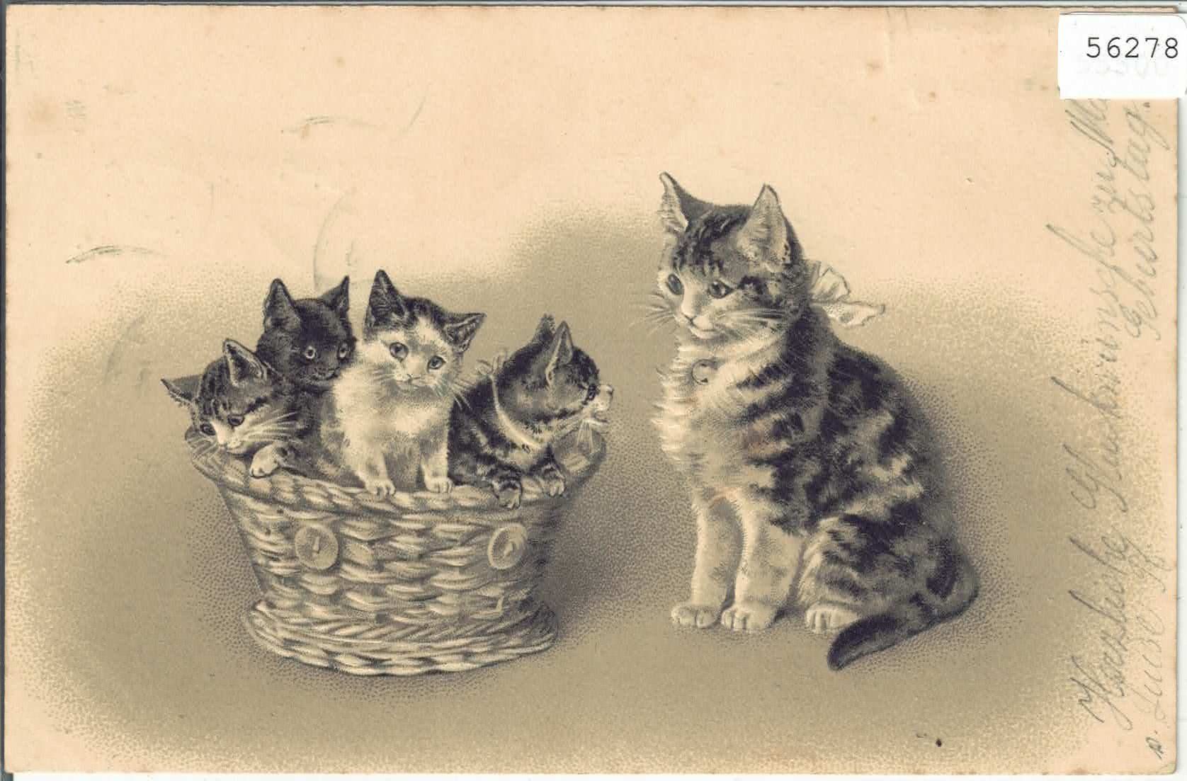 Ansichtskarten: Katzenmutter mit Jungen - Präge-Litho - Stabstempel – Gebraucht aus Ettingen von Kartenplanet