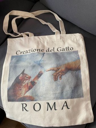 KATZEN TASCHE  DIE SCHÖPFUNG "...DES BÜSI KATZE