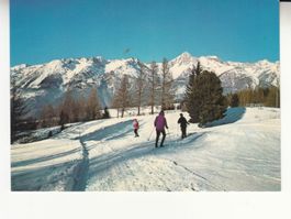 Bürchen 1980