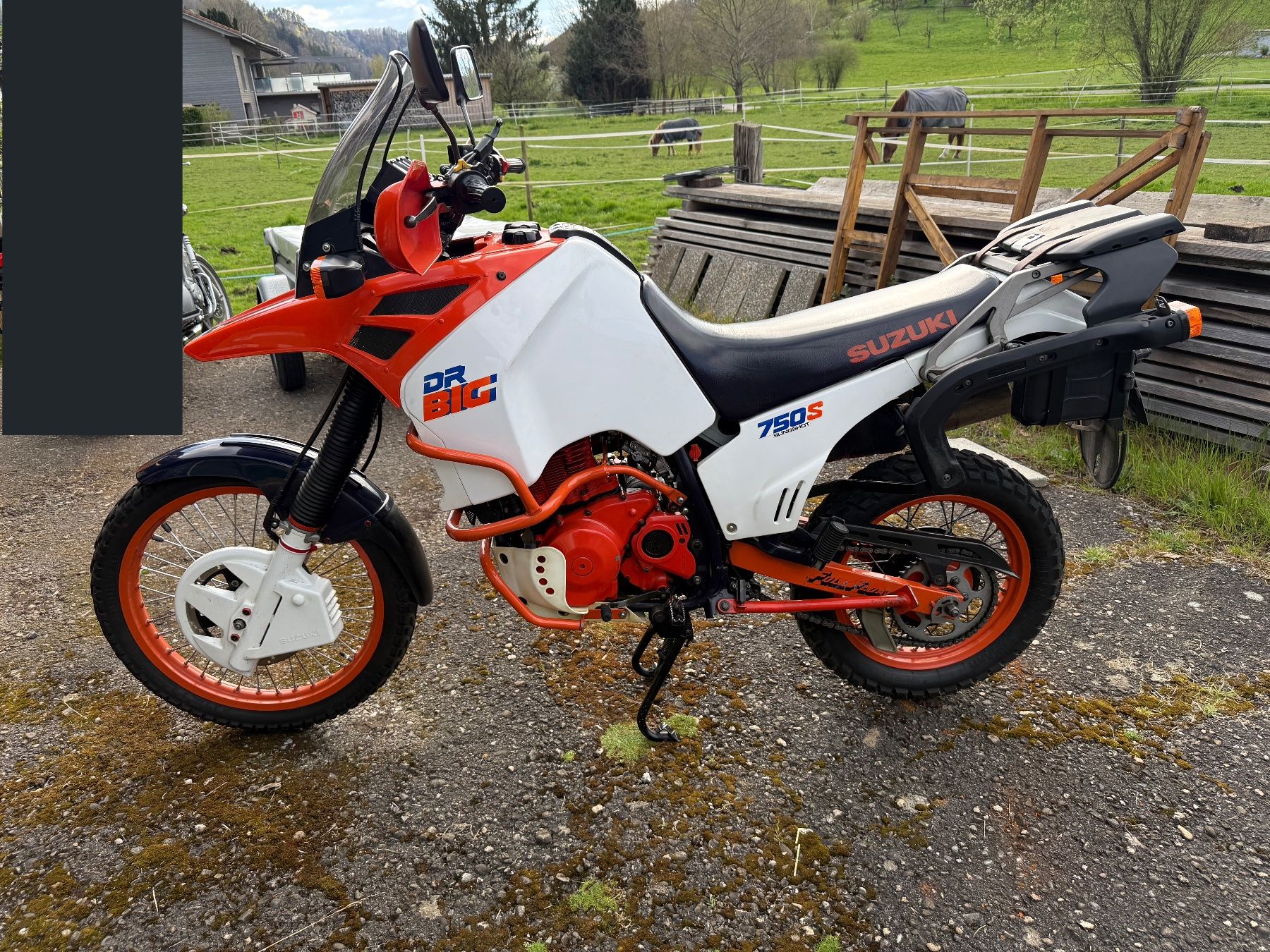 Suzuki Enduro: Suzuki DR Big 750S – D'occasion à Dussnang par Iomega 1