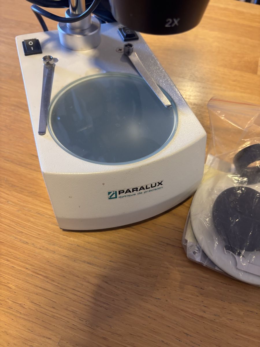 Mikroskopie: Stereomicroscope PARALUX WF – Gebraucht aus Morges von Brunocunha05 1