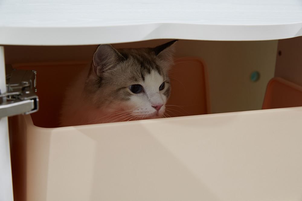Pflegeprodukte & Putzartikel: CatS Design Katzenklo hochwertig ... – Neu und originalverpackt aus Mönchengladbach von Zoopplier 7