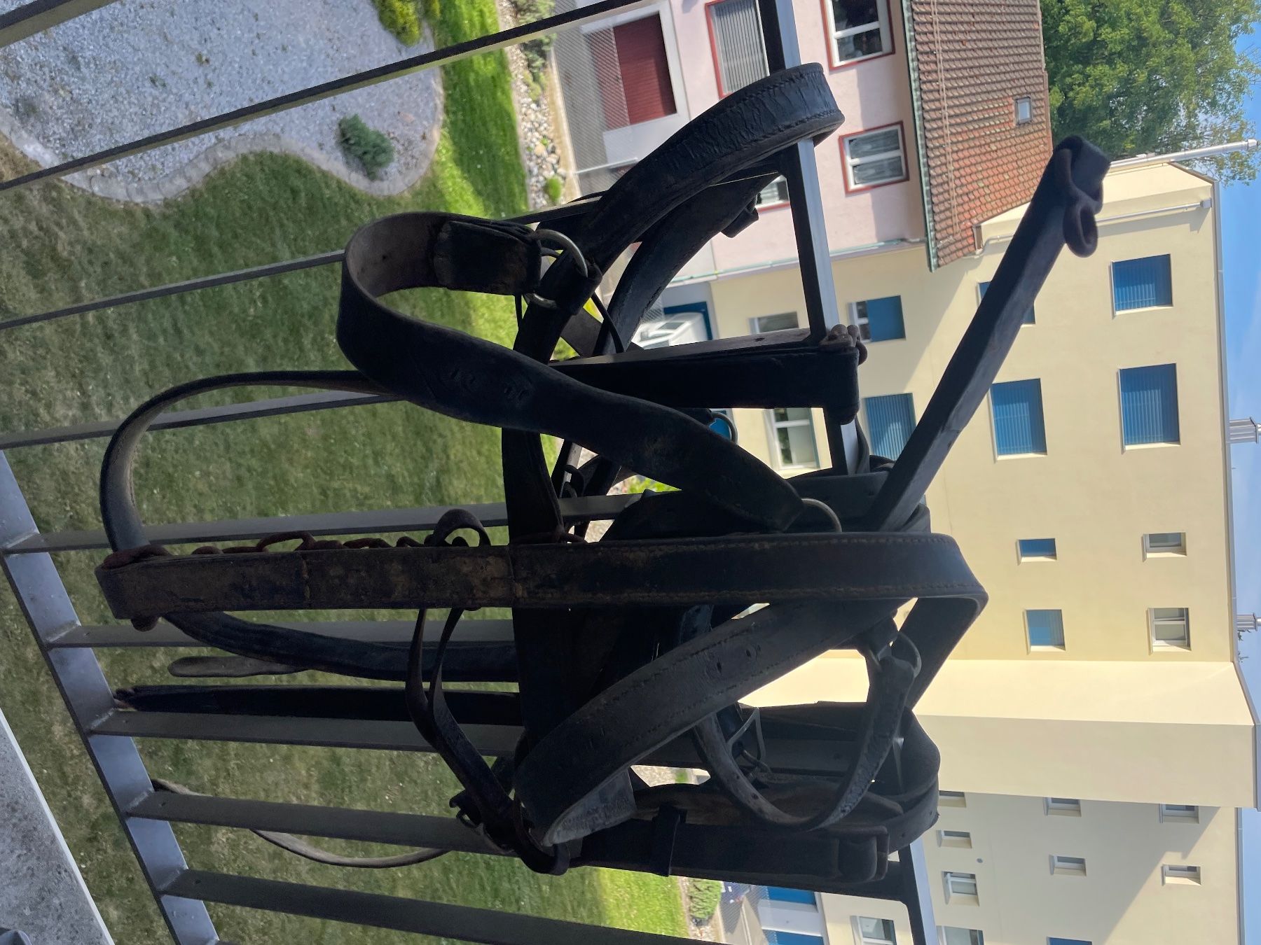 Briglie & Cavezze: Zaunzeug, Kutsche – Usato da Kloten venduto da Nidi1 2