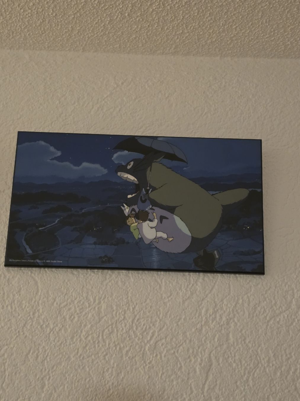 Poster & Bilder: Totoro Poster Studio Ghibli Anime Kunstdruck A3 – Gebraucht aus Ostermundigen von Talmonridel 1