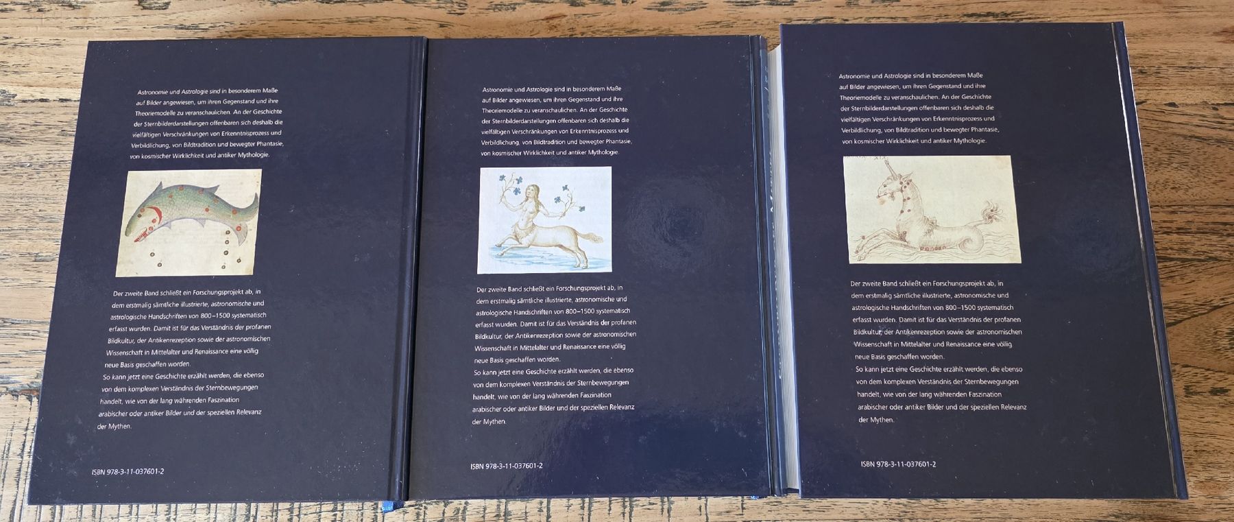 Libri: Sternbilder des Mittelalters und der Renaissance – Nuovo (secondo la descrizione) da Günsberg venduto da Bari72 1