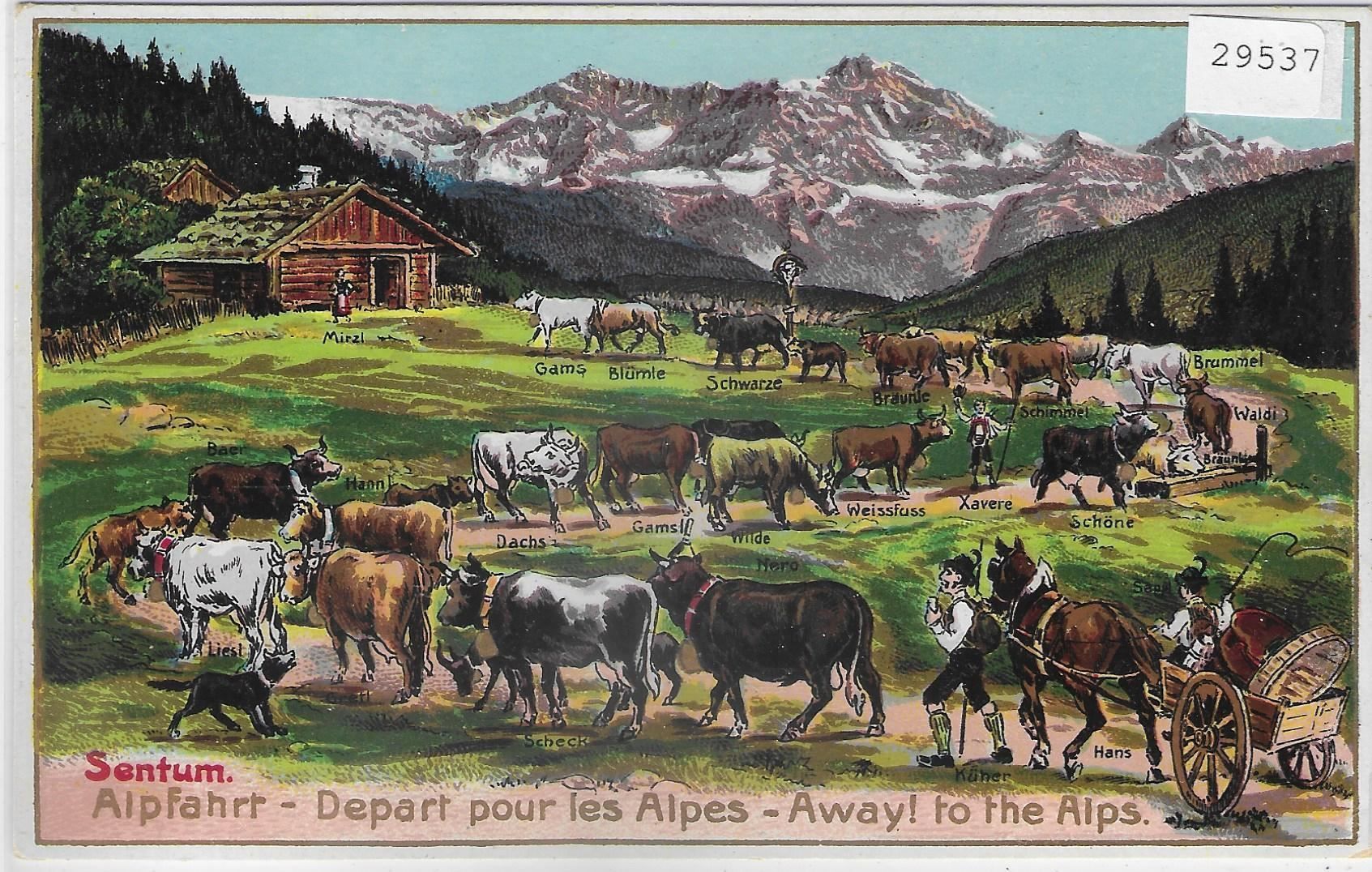 Cartoline postali: Sentum - Alpfahrt - Depart pour les – Usato da Ettingen venduto da Kartenplanet