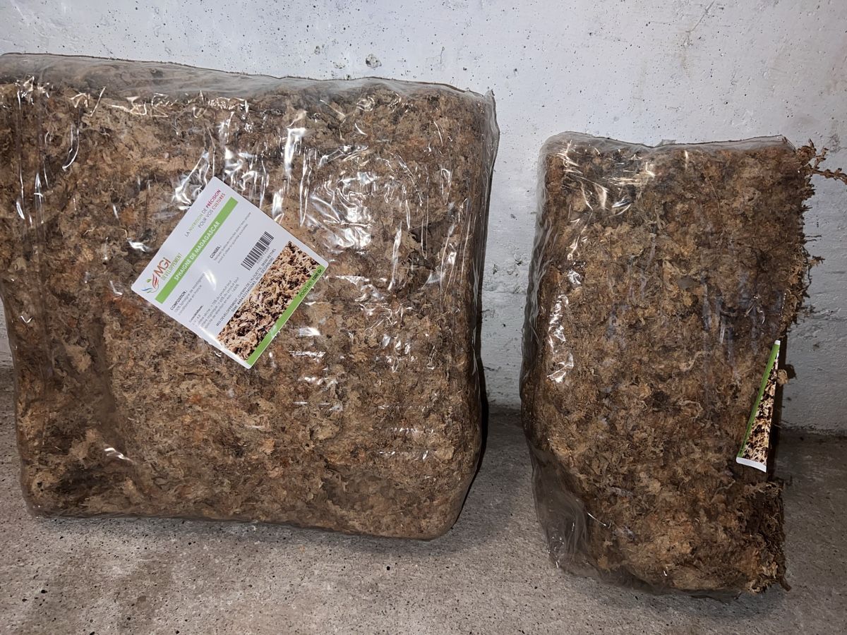 Piante & sementi: 1,5 Packung Madagaskar Spagnum Moss – Nuovo (secondo la descrizione) da Langenthal venduto da 7evenstar 1