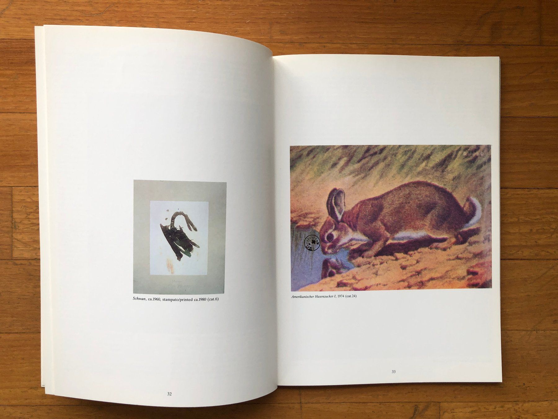 Libri: Kunst Buch: JOSEPH BEUYS - Polentransport 1981 – Usato da Lugano venduto da gio.yo 3