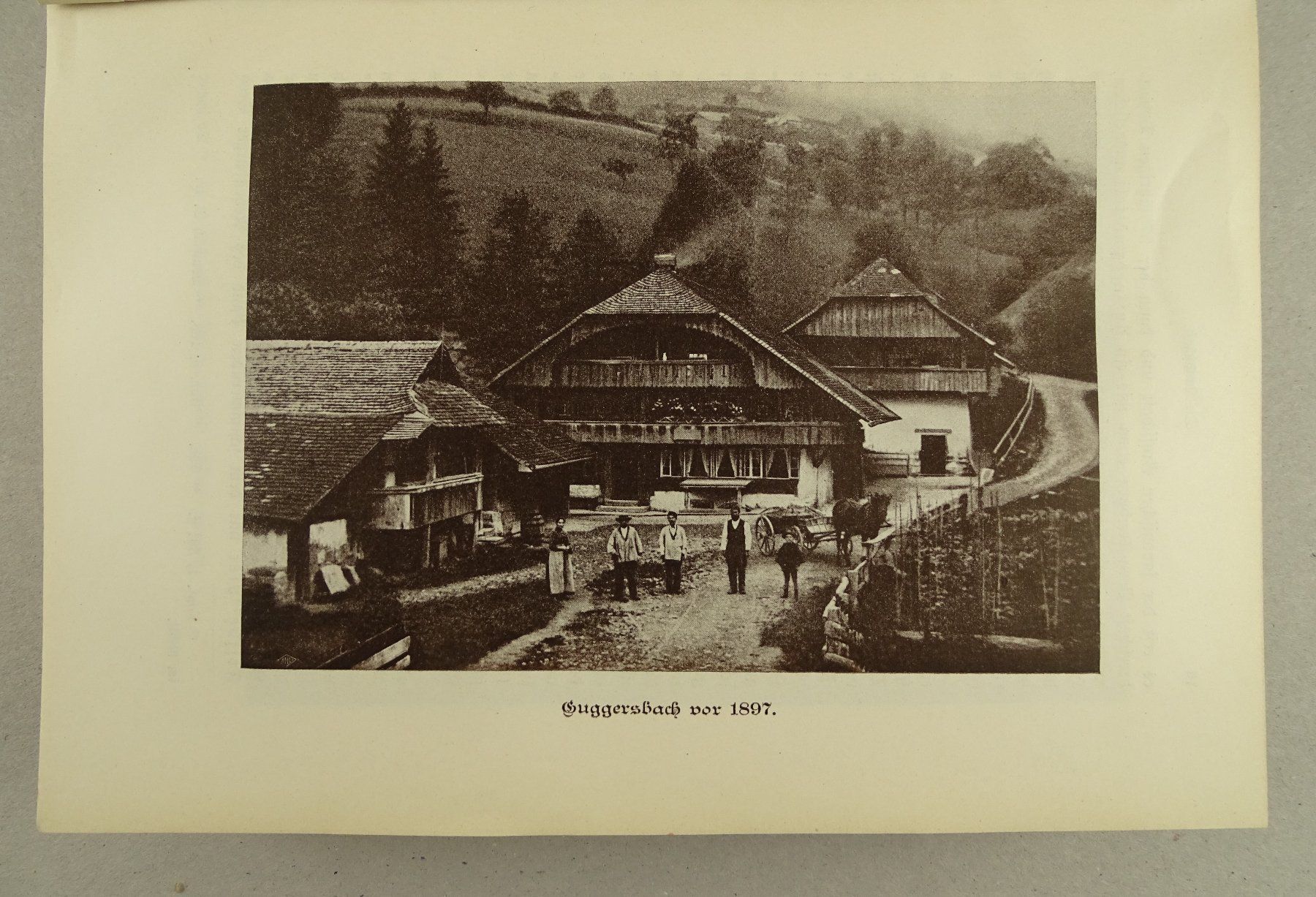 Libri: EMANUEL FRIEDLI: GUGGISBERG, 1911 – Usato da Grüningen venduto da Kartensammler 4