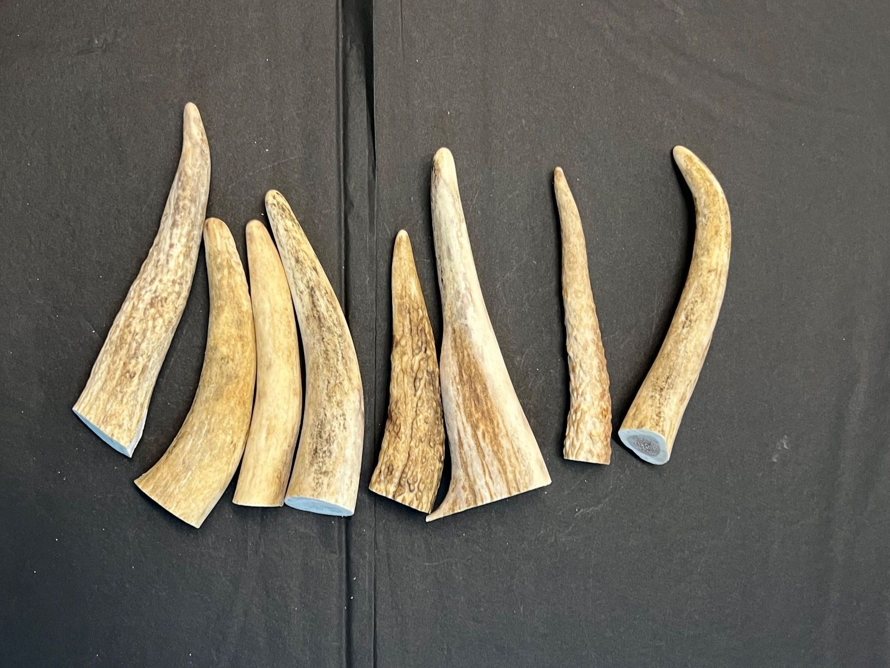 Sonstiges zum Sammeln & Seltenes: Hirsch Geweih Horn Hirschgeweih Spitzen 12-16cm – Gebraucht aus Vaduz von hirschjager