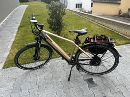 S-Pedelec Allegro Champion II Limited Edition