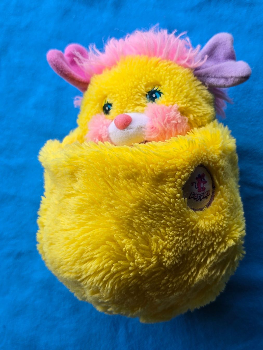Giocattoli: Peluche Popples jaune – Usato da versoix venduto da moonkey02 4