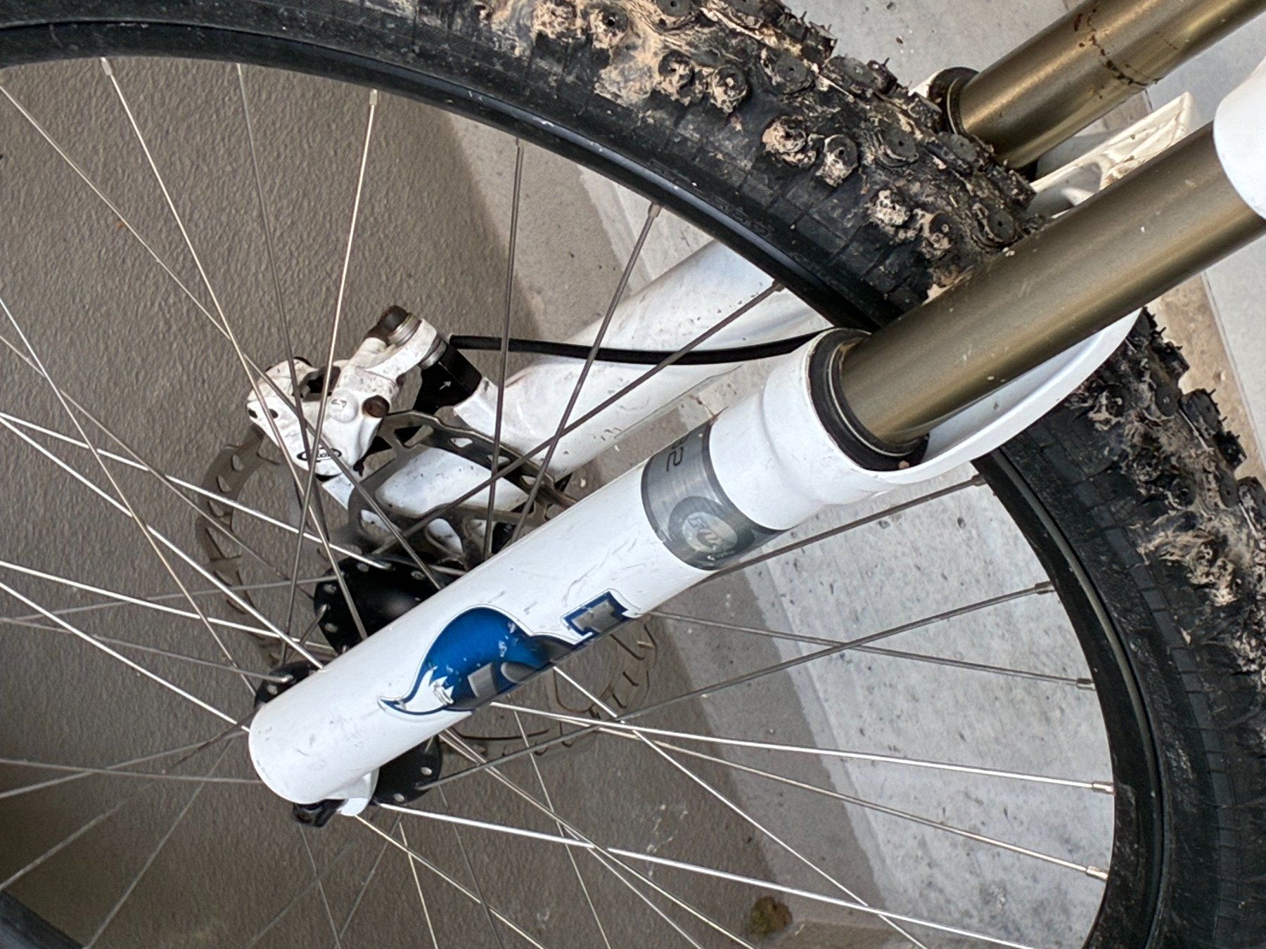 Biciclette: Trek Mountain Bike – Usato da Herrliberg venduto da mfontes 4