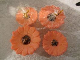 8 Kerzenblumen stark rosa/orange, 9 - 11 cm