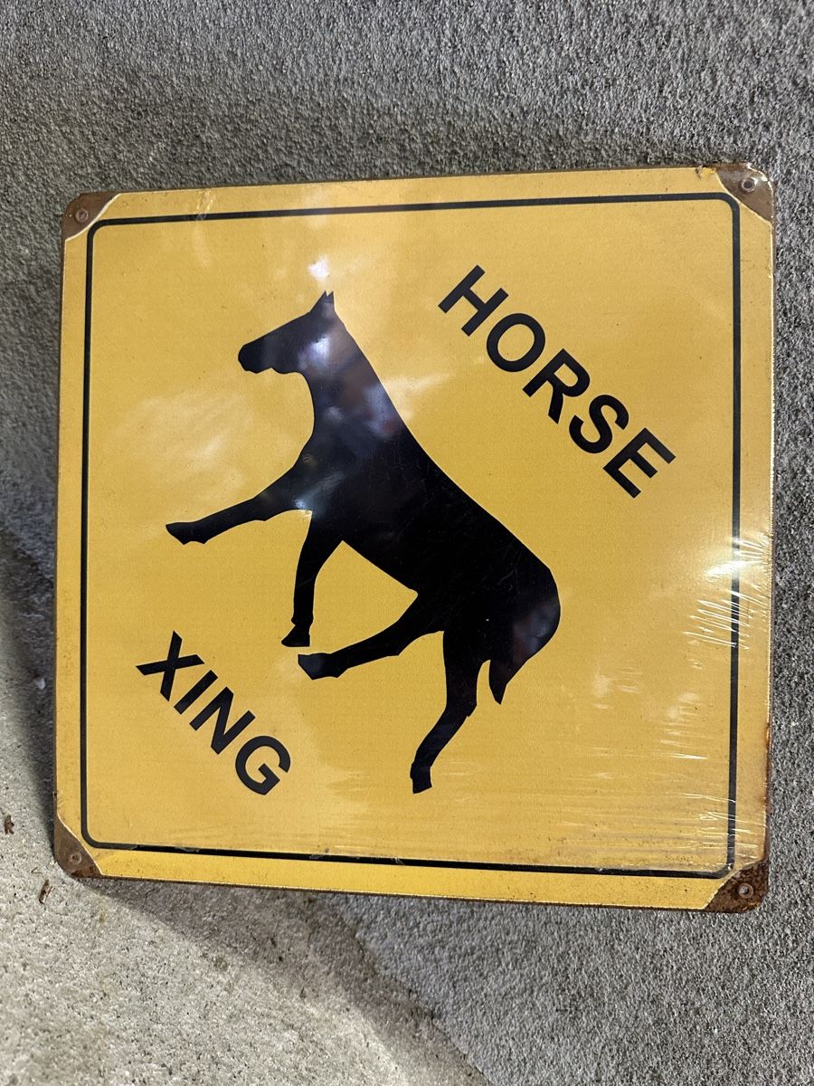 Insegne: Horse xing pferd – Nuovo (secondo la descrizione) da Reinach AG venduto da rares75