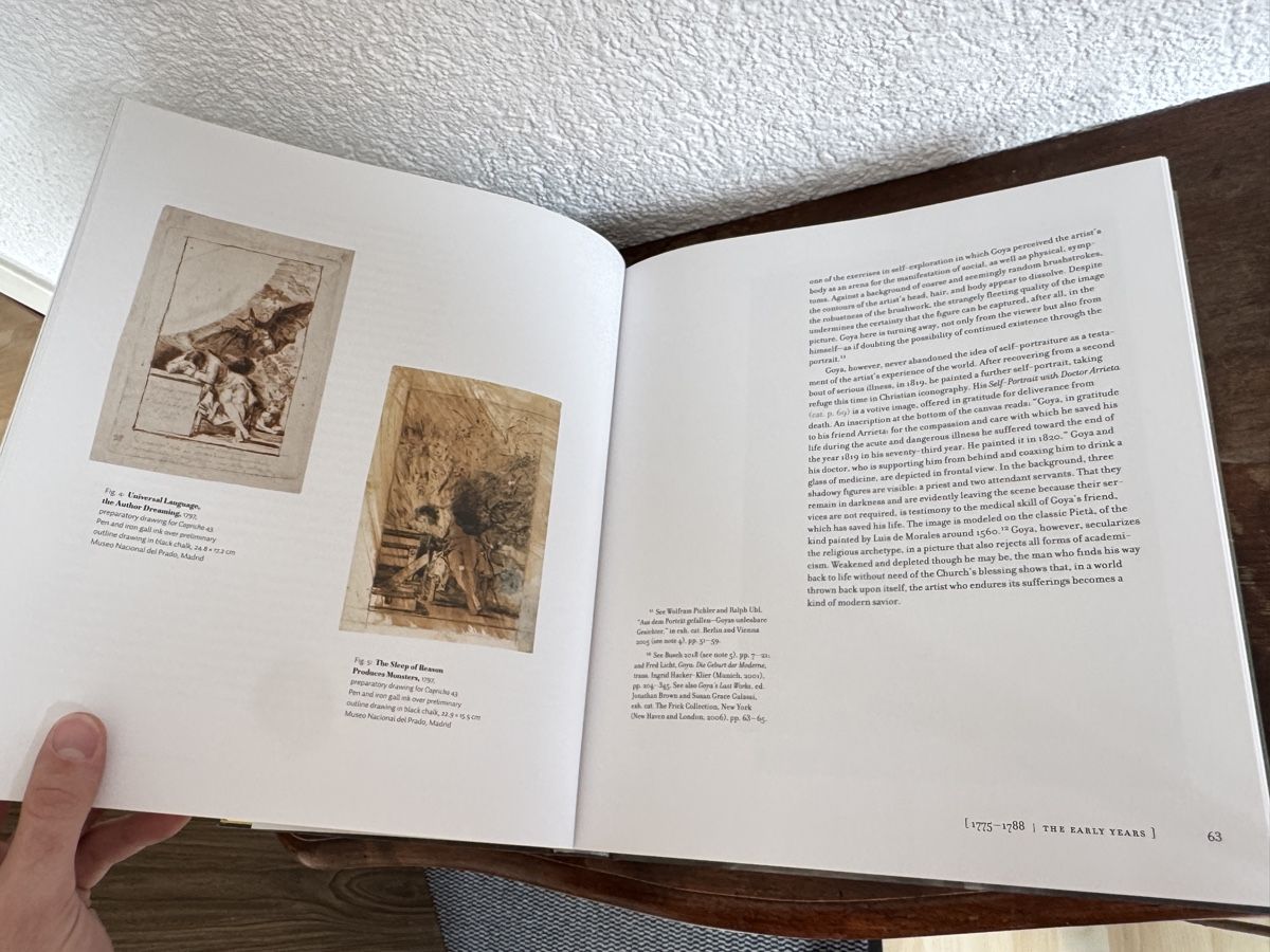 Libri: Goya von foundation Beyeler – Nuovo (secondo la descrizione) da Hinterkappelen venduto da hugo_sophian 4