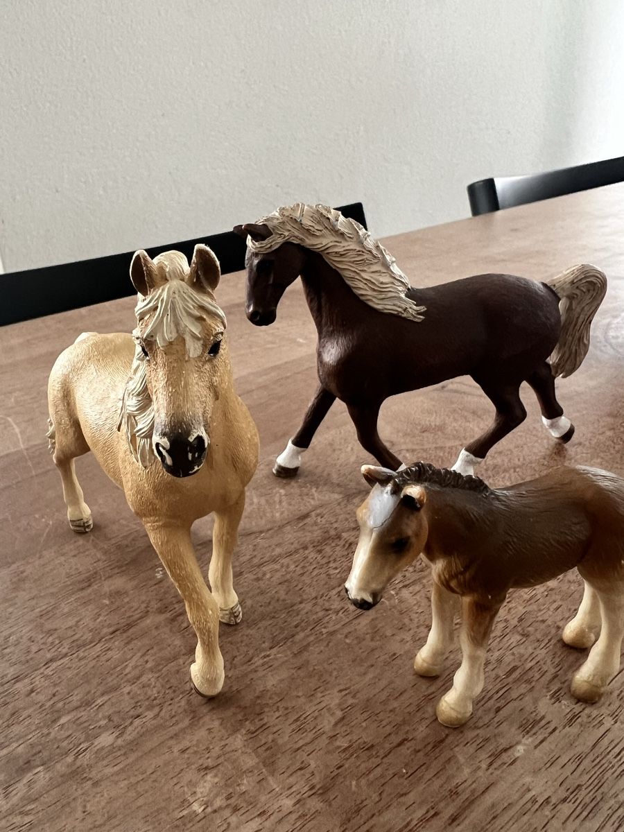 Schleich Giocattoli: pferdefamilie von schleich – Usato da Beinwil am See venduto da -Sparky-