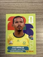 PANINI Fifa RSA 20