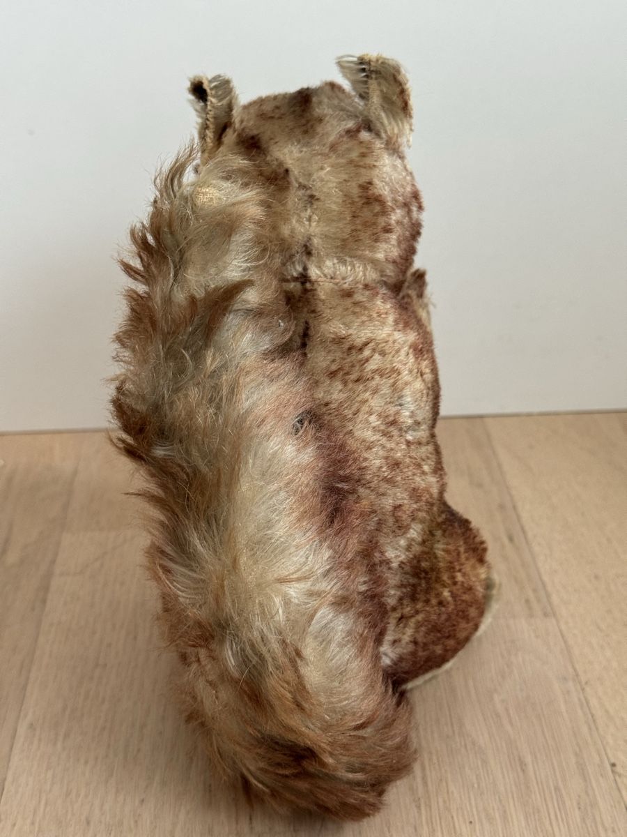 Giocattoli: Antikes Eichhörnchen Stofftier verm. Steiff Perry 20 cm – Usato da Baar venduto da Rattantante 5