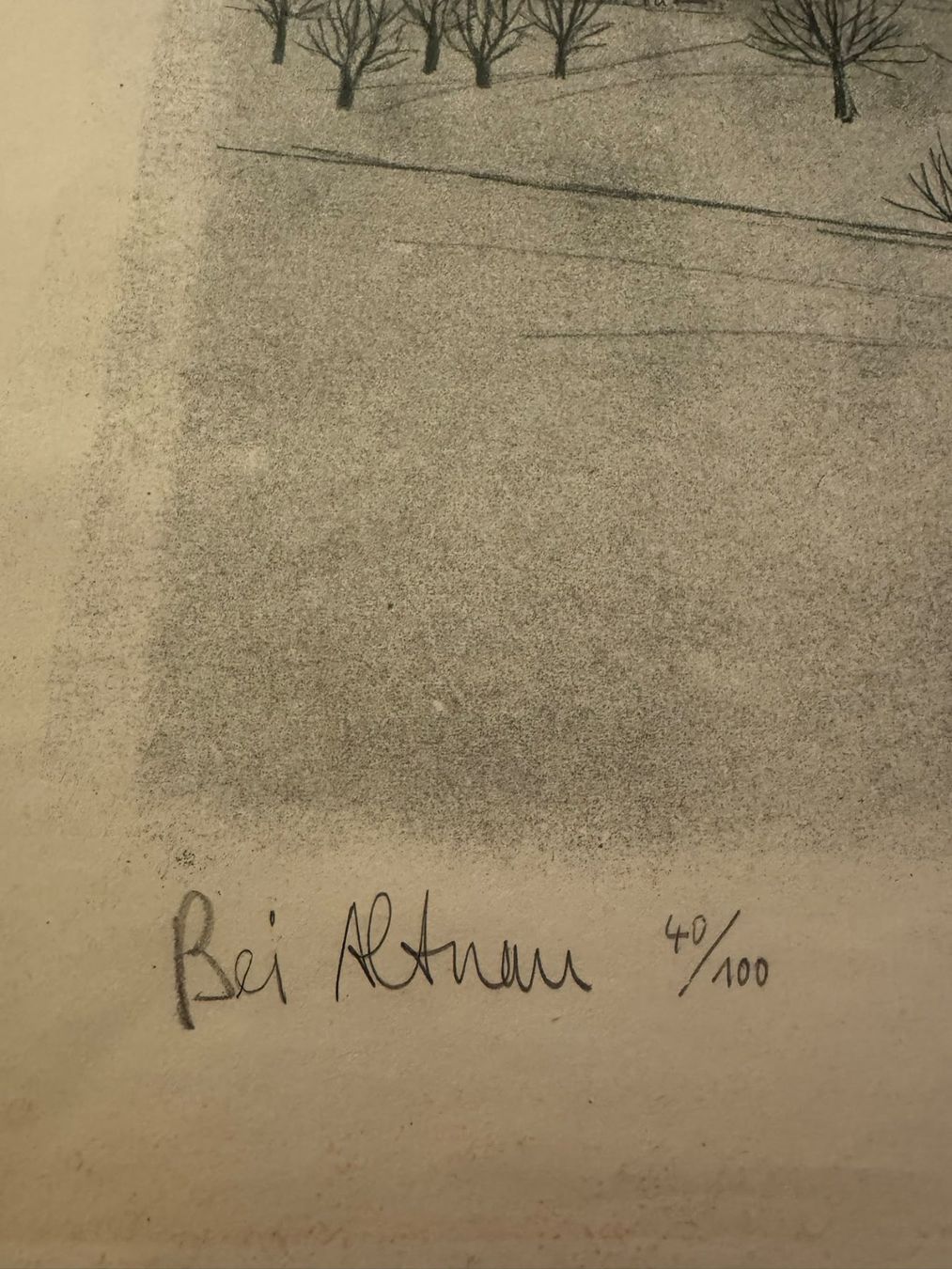 Grafica & Litografie: Walter Roshardt "Bei Altnau" – Usato da Bern venduto da anolba 2