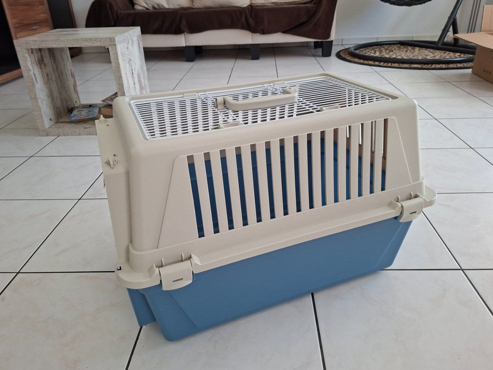 Ferplast Gabbie, trasporto & Sicurezza: Katzen Transport Box – Nuovo (secondo la descrizione) da Waltenschwil venduto da Fkreta
