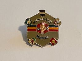1 Pin Raiffeisenbank Pfaffelen