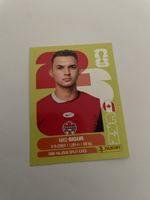FIFA WM 2026 Niko Sigur CAN 16