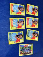 Congo 7x panini