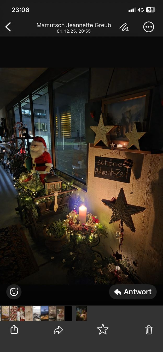 Tutte le decorazioni: Ganz viiieeeel Weihnachts Deko – Nuovo (secondo la descrizione) da Langenthal venduto da flower101 9
