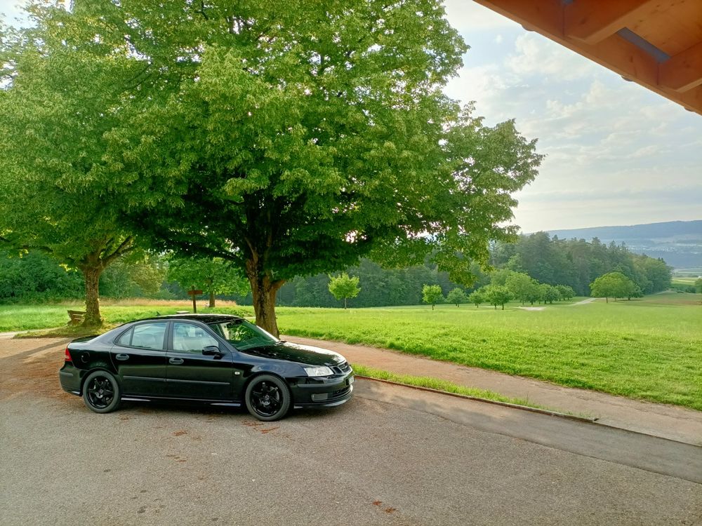 SAAB 9-3 Hirsch Performance 252PS, ab MFK!