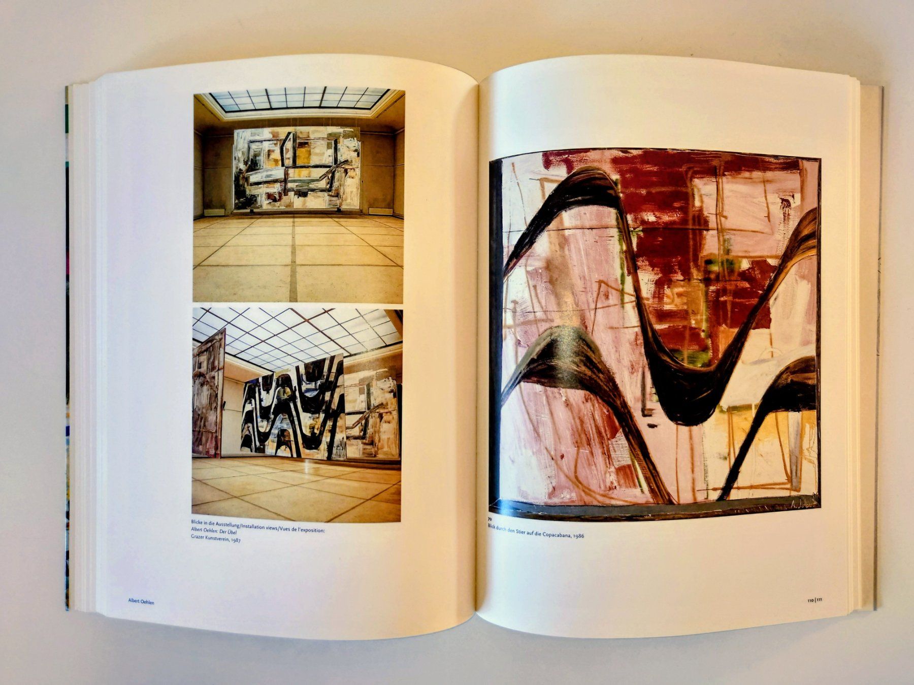 Bücher: Albert Oehlen - Katalog Riemschneider / Hergott. EA 1995 – Gebraucht aus Zürich von Artnex 8