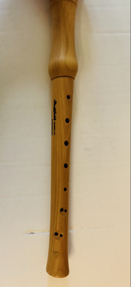 Strumenti musicali: Recorder by Sheffield - Great Instrument for Beginners! – Usato da Olten venduto da Asaliya 4