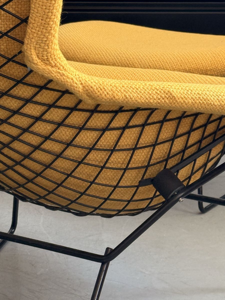 Poltrone: Design Sessel Knoll / Bertoria / Bird Chair – Usato da Zürich venduto da El-Ga 2