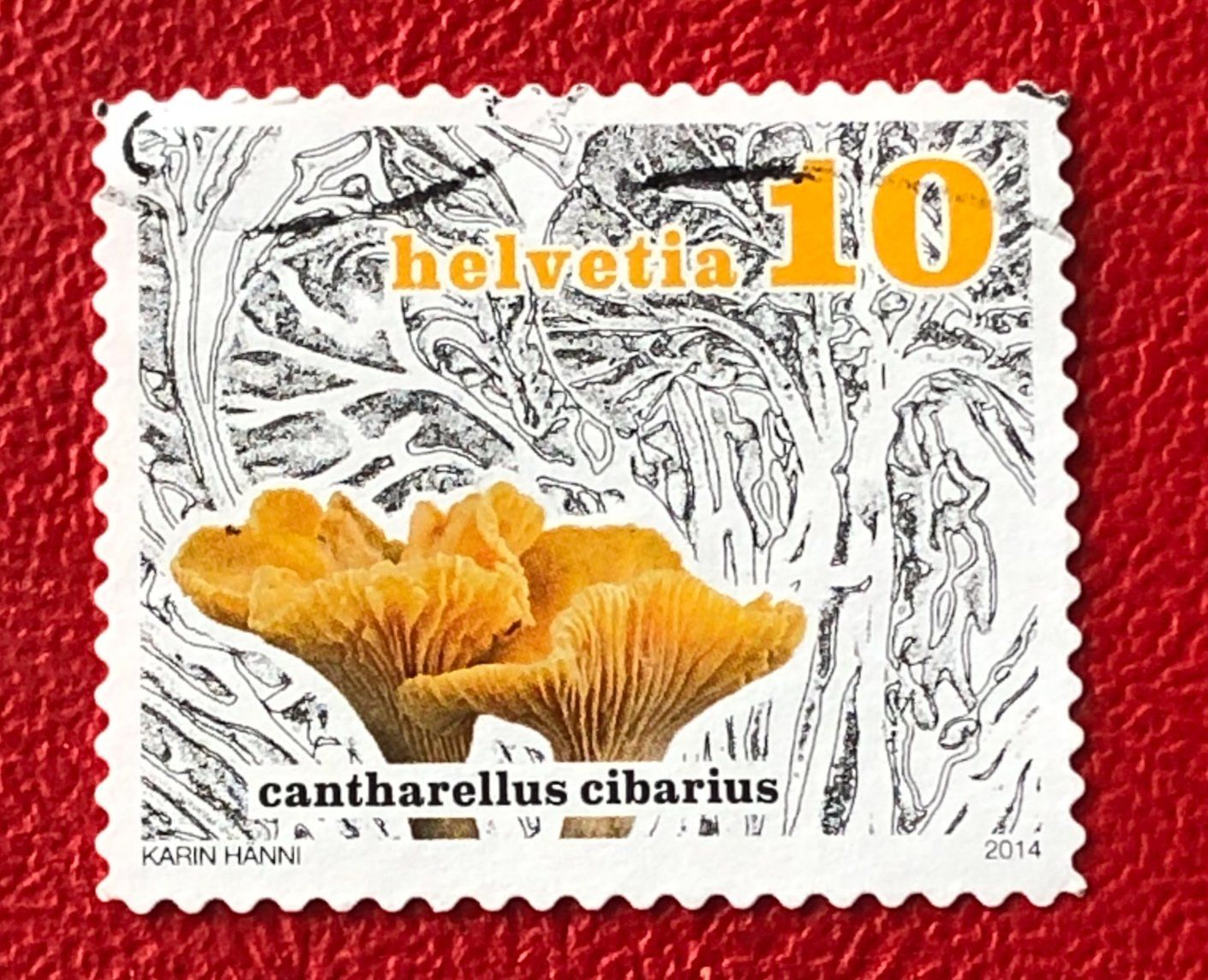 Tutti i francobolli: Nr.1503 Dauermarken Pilze GESTEMPELT 2014    – Usato da Aarau venduto da Billa007