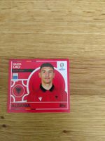 🤩 ALB 12 - Topps Euro 2024 Sticker