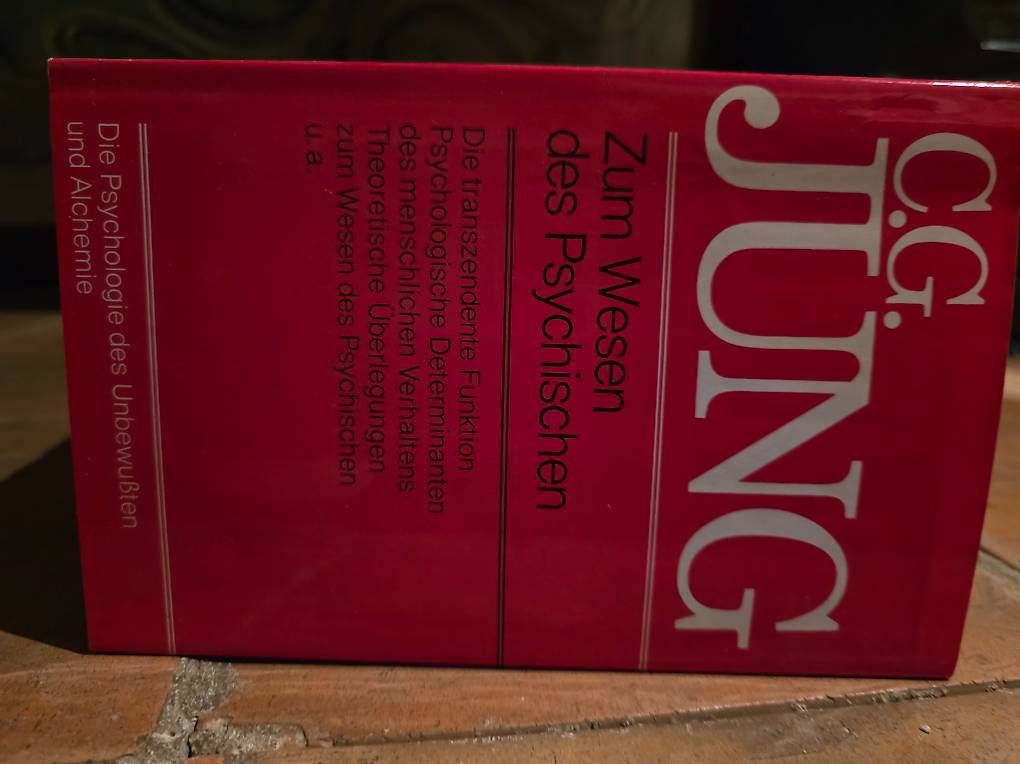 Alle DVDs: Collezione Jung – Gebraucht aus Lugano von big_t6x6 1