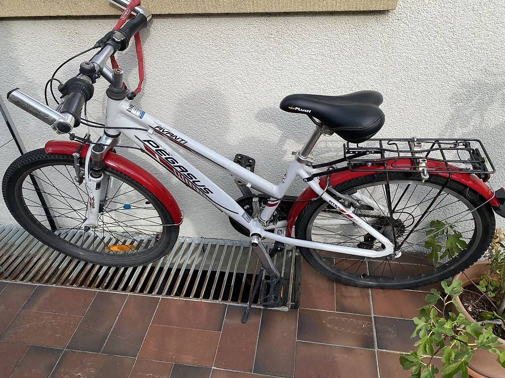 Velos: Velo Pegasus avanti Kind – Gebraucht aus Basel von 12Glory 1