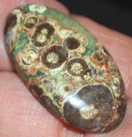 Cabochon L-7694 – Krokodilaugen Jaspis 37X20mm 42,20 Karat