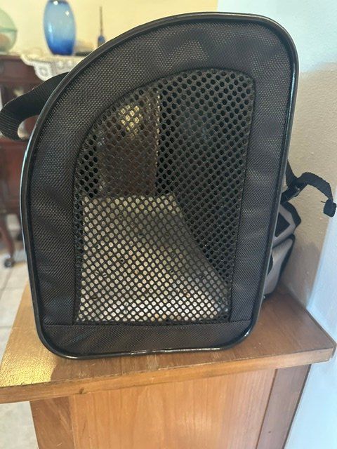 Zaini: Hunderucksack/ Tasche, zoofari – Nuovo (secondo la descrizione) da Otelfingen venduto da Jupi07 1