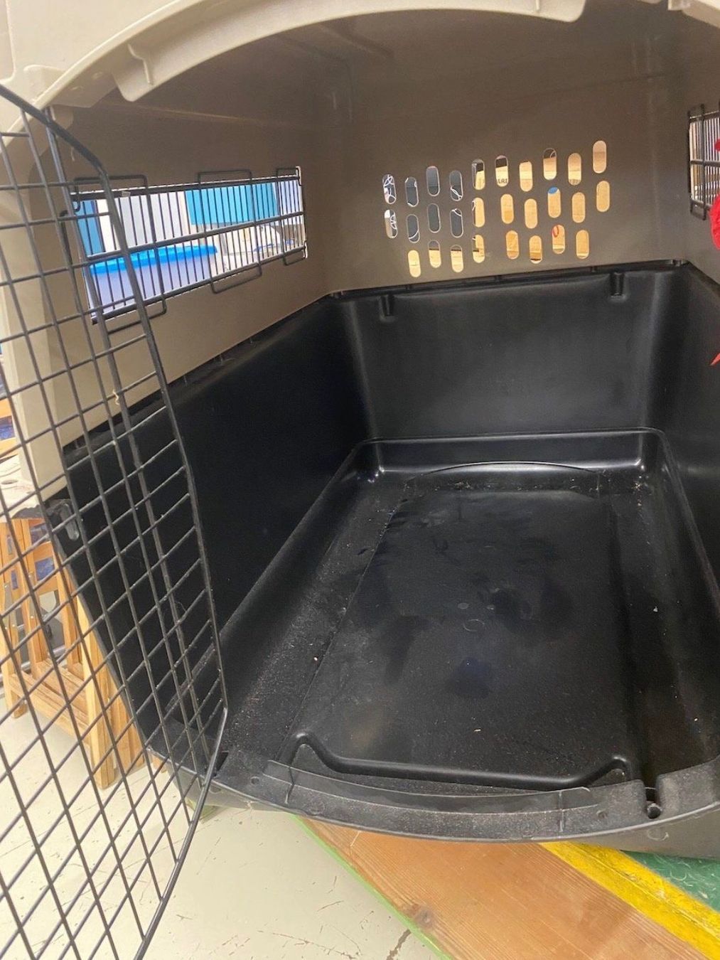 Gabbie, trasporto & Sicurezza: Grosse XL - Hundetransportbox – Usato da Vordemwald venduto da Weisskopfseeadler 1