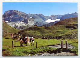 Les hauts d'Anzeindaz, la cabane Barraud