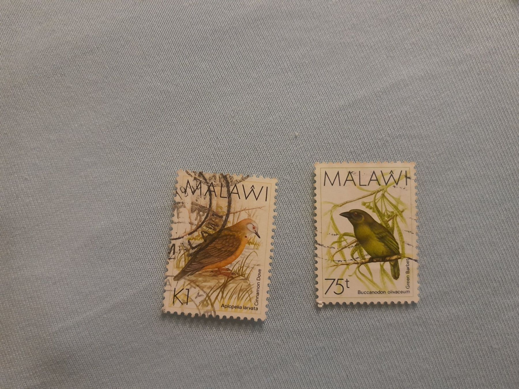 Tutti i francobolli: Malawi Vögel – Usato da Marly venduto da globetrotter1723