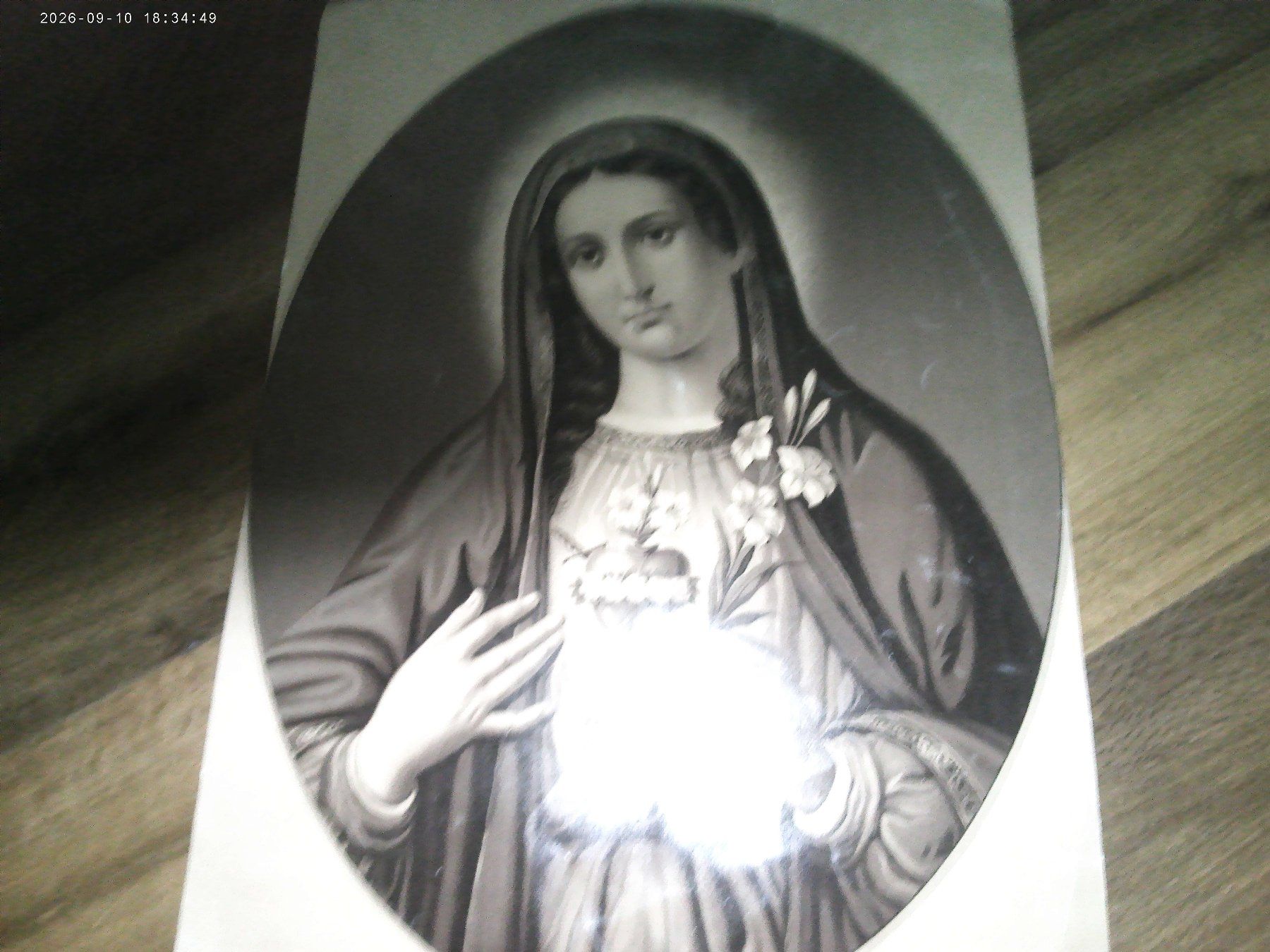 Foto & Immagini: Echte Lithographie 50 x 36 cm – Usato da Altendorf venduto da zipfizaffi 2