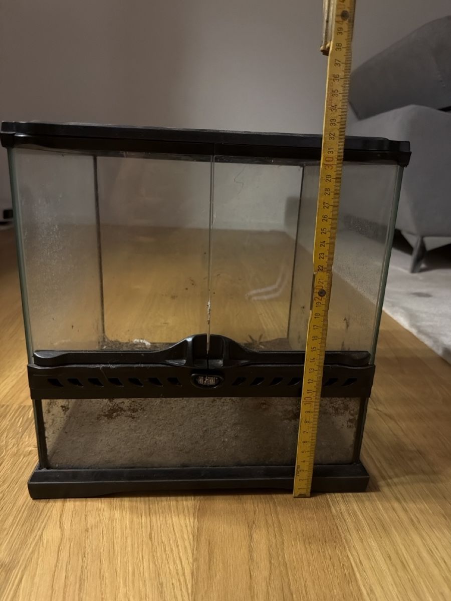 Terrario: Exo Terra Terrarium – Usato da Horgen venduto da bok_6ttc 1