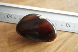 Bernstein Rot  Poliert XL   7cm  x 4 cm    ab 10.- Auktion