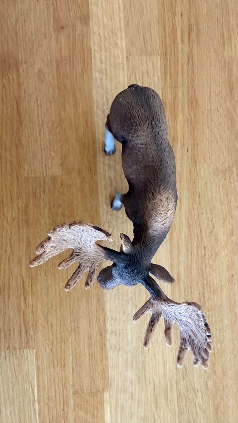 Schleich Giocattoli: SCHLEICH - Elch 14781 – Usato da Winterthur venduto da Secondhand-Family 5