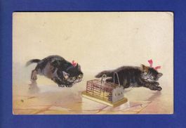 CHAT - Chatons et piège à souris // pli d'angle //